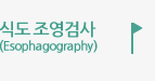 식도 조영검사 (Esophagography)